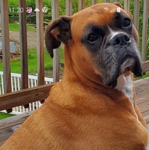 Meet your Posher, Susan